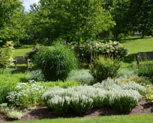 Arboretum Wojsławice, czerwiec 2025
