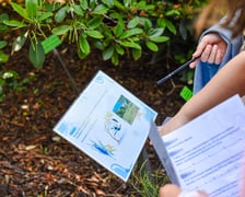Wrocławska Akademia Młodego Ekologa - warsztaty w Ogrodzie Botanicznym