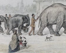 Wrocławskie zoo przed wojną