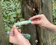 Gra Geocaching w jednym z wrocławskich parków