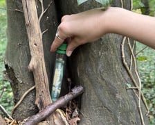 Gra Geocaching w jednym z wrocławskich parków
