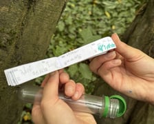 Gra Geocaching w jednym z wrocławskich parków