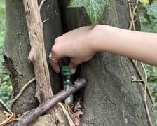 Gra Geocaching w jednym z wrocławskich parków