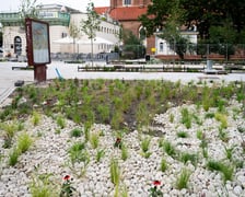 Prace na placu przy pomniku Chrobrego we Wrocławiu, 28 lipca 2025