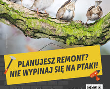 Plakaty do kampanii Zróbmy miejsce dla wszystkich