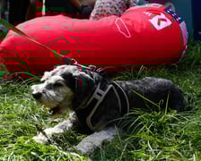 Piknik Wakacje z zielonym Wrocławiem w parku Brochowskim