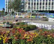 Tworzenie skweru przy ul. Suchej