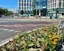 Tworzenie skweru przy ul. Suchej