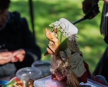 Międzypokoleniowy piknik ekologiczny w Ogrodzie Staromiejskim we Wrocławiu