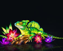 wizualizacje wystawy Garden of Lights