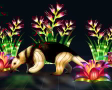 wizualizacje wystawy Garden of Lights