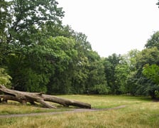 W parku Południowym, lipiec 2025