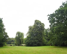 W parku Południowym, lipiec 2025