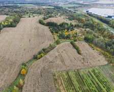 <p>Teren przyszłego parku Wojnowskiego, widok z drona.</p>