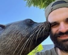 Nowe mieszkanki wrocławskiego zoo