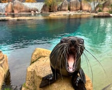 Nowe mieszkanki wrocławskiego zoo