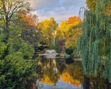 <p>Jesień w Ogrodzie Botanicznym, który bedzie czynny do 31 października</p>