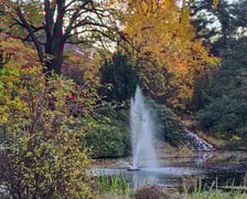 <p>Jesień w Ogrodzie Botanicznym, który bedzie czynny do 31 października</p>