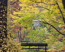 <p>Jesień w Ogrodzie Botanicznym, który bedzie czynny do 31 października</p>