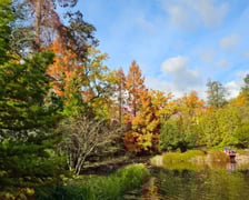 Ogród Japoński we Wrocławiu w jesiennej odsłone