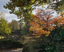 Ogród Japoński we Wrocławiu w jesiennej odsłone