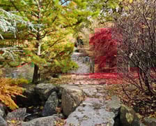 Ogród Japoński we Wrocławiu w jesiennej odsłone