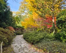 Ogród Japoński we Wrocławiu w jesiennej odsłone