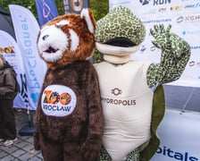 Wild Run 2025 we wrocławskim zoo