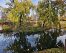 Sadzenie nowych rośłin na wyspach Fosy Miejskiej