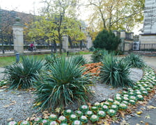 Jesienne nasadzenia rabat kwietnych, bylin i trwa ozdobnych - październik / listopad 2025 r.