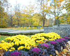 Jesienne nasadzenia rabat kwietnych, bylin i trwa ozdobnych - październik / listopad 2025 r.