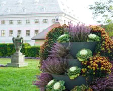 Jesienne nasadzenia rabat kwietnych, bylin i trwa ozdobnych - październik / listopad 2025 r.