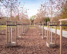 Dzieci z pieczy zastępczej sadzą drzewa w powstających Ogrodach Szczytnickich