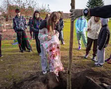 Dzieci z pieczy zastępczej sadzą drzewa w powstających Ogrodach Szczytnickich