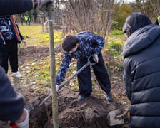 Dzieci z pieczy zastępczej sadzą drzewa w powstających Ogrodach Szczytnickich