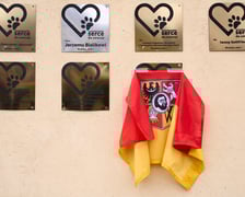 <p>Uroczystość wręczenia odznaczenia &bdquo;Wrocławskie Serce dla Zwierząt&rdquo; i wyr&oacute;żnień</p>