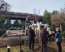 Zimowe nasadzenia w Ogrodzie Japońskim we Wrocławiu