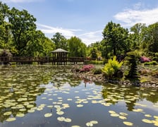 Ogród Japoński latem