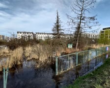 <p>Skwer przy ul. Kajdasza - Zdjęcie "przed"</p>