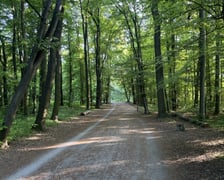 Aleja Romera w Parku Grabiszyńskim.