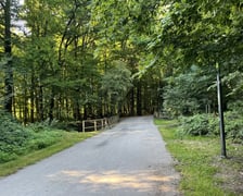 Aleja Romera w Parku Grabiszyńskim.