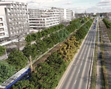 Zapewne tak za kilkanaście lat będzie wyglądać Armii Krajowej - wizualizacja przedstawia aleję, gdy już urosną posadzone na niej drzewa