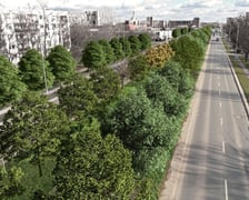 Zapewne tak za kilkanaście lat będzie wyglądać Armii Krajowej - wizualizacja przedstawia aleję, gdy już urosną posadzone na niej drzewa