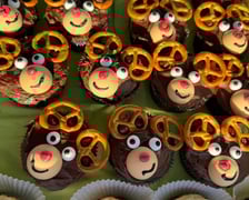 Rok 2025 we wrocławskim Schronisku dla Bezdomnych Zwierząt