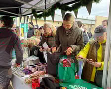 Rok 2025 we wrocławskim Schronisku dla Bezdomnych Zwierząt