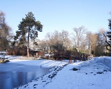 <p>Na zdjęciach Ogr&oacute;d Botaniczny Uniwersytetu Wrocławskiego czynny zimą w soboty i niedziele</p>