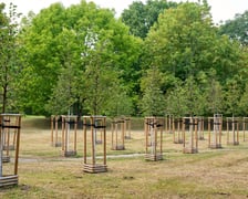 <p>Nasadzenia zieleni w Ogrodach Szczytnickich</p>