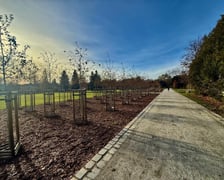 <p>Nasadzenia zieleni w Ogrodach Szczytnickich</p>