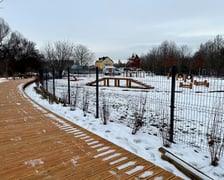 Zielony Klin Żmigrodzki - styczeń 2026