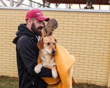 <p>Suczka, ok. 2 lat. Szalenie wystraszona, nie umie chodzić na smyczy. Boi się ludzi, unika kontaktu z nimi. Daje się dotykać, ale jeszcze nie sprawia jej to przyjemności.</p>
